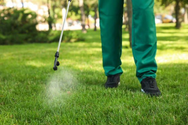Best Best Pest Control Companies  in Atascocita, TX