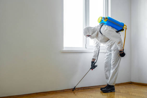 Best Best Pest Control Companies  in Atascocita, TX